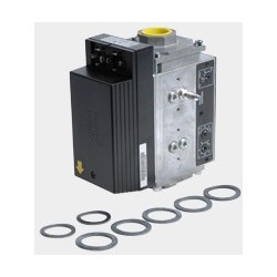 Bloc combiné gaz CG225