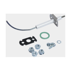 Electrode d'ionisation