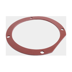 7819830 - Joint plat (1 pièce)