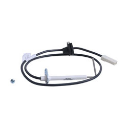 Electrode d'ionisation