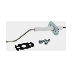 Electrode d'ionisation