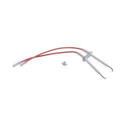 7819845 - Electrode d'allumage